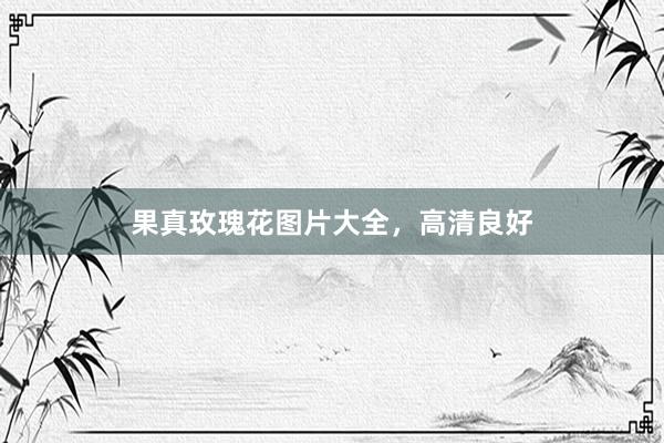 果真玫瑰花图片大全，高清良好