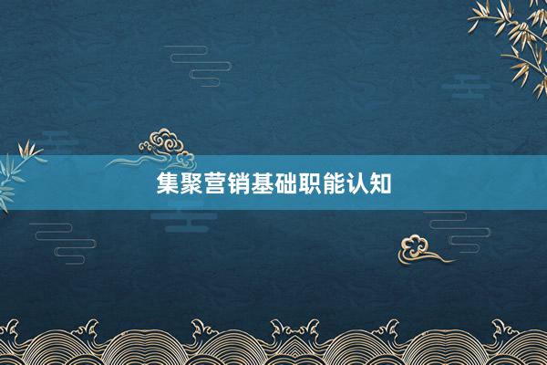 集聚营销基础职能认知